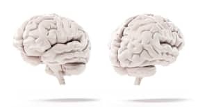 New computing tool can predict a person's intelligence