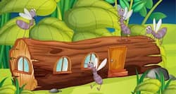 World Malaria Day 2018: 4 tips to keep malaria at bay