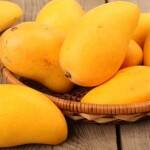 MANGO RECIPES