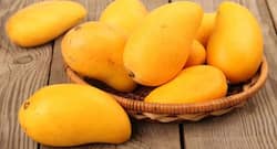 Say hello to summer with these mango treats