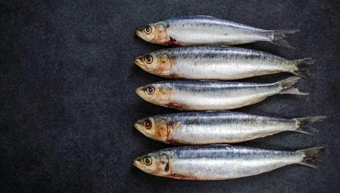 10 health benefits of sardines (tarli/matti) 