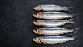 10 health benefits of sardines (tarli/matti)