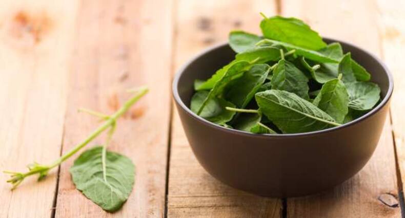 7 home remedies to soothe mosquito bites