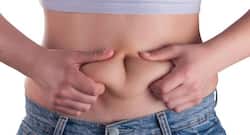 Late night meals can increase weight, cholesterol levels