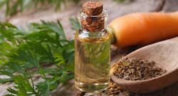 Health benefits of carrot seed essential oil