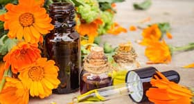 Use calendula to up your beauty game!