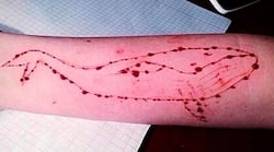 Blue Whale online suicide challenge - Mumbai boy commits suicide