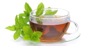 Suffering from an upset stomach? Drink peppermint tea