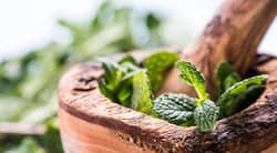 Spearmint -- natural remedy for excessive facial hair and acne due to PCOS