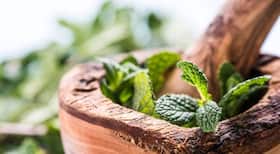 Spearmint -- natural remedy for excessive facial hair and acne due to PCOS
