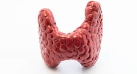World Thyroid Day 2017: 7 amazing facts about the thyroid gland
