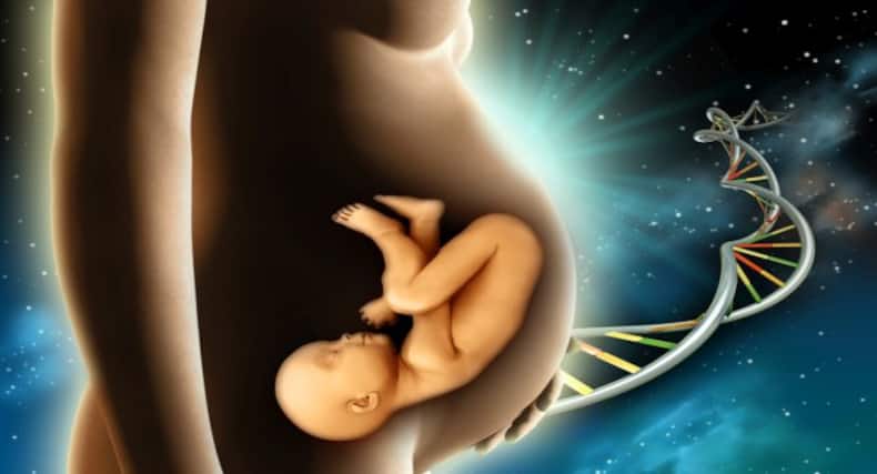 Organ Transplantation: A Medical Science Miracle Saving Thousands Of Lives In India