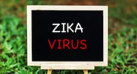 Zika virus may cause miscarriages, stillbirths without any symptoms