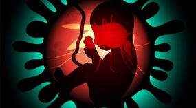 Immune response to Zika virus may harm fetal development: Study