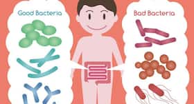 Did you know gut bacteria could affect your weight and health?