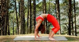 जानिए खुले स्थान पर योगासन करने से क्या लाभ मिलेगा