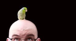 Hair loss - causes, treatments and tests you should know about