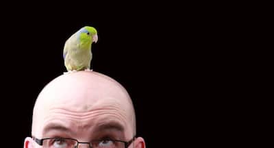 Hair loss - causes, treatments and tests you should know about