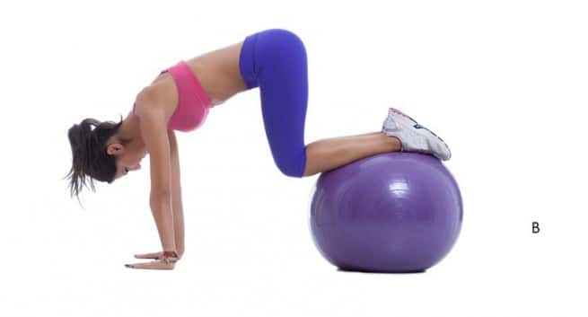 Stability ball 2
