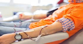Blood Donation: Who Should Not And Who Should Donate Blood?