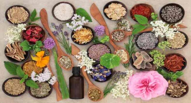 Want amazing skin? You should know of these herbs