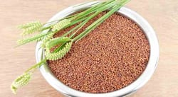 Top 5 health benefits of ragi