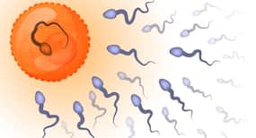 प्रेगनेंसी प्लान कर रही हैं? तो ओव्यलैशन के इन 5 संकेतों पर ध्यान दें