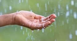 What will happen if you drink rain water?