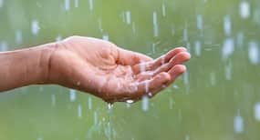 Mumbai deluge: More rains this week, warns India Meteorological Department