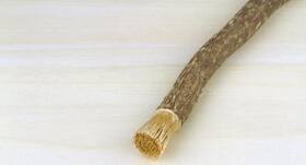 Why I stopped using a toothbrush and use Miswak instead