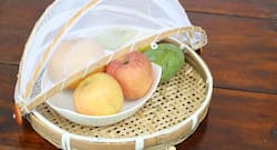 Tried and tested tips to keep fruit flies away this monsoon