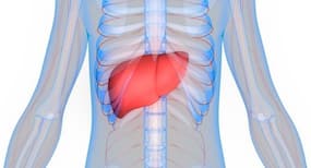 World Hepatitis Day 2017: 5 चीज़ें जो jaundice में खाने से मना करता है आयुर्वेद
