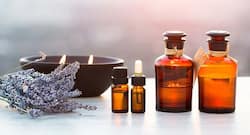 Weight loss: Three essential oils that will help you burn fat