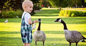 Acute lymphocytic leukaemia (ALL) or childhood blood cancer treatment and remission - what you should know