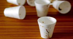 Here's why you should NEVER drink coffee in Styrofoam cups!