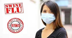 Dengue, leptospirosis, gastroenteritis and swine flu wreak havoc in Maharashtra