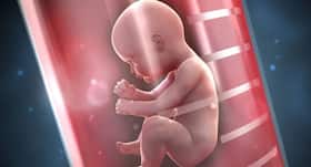 IVF-born children at risk of cardiovascular diseases, finds a study