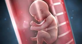 क्या अनियमित पीरियड्स की वजह से IVF की मदद से प्रेगनेंट होने में प्रॉबल्म होता है? क्या अनियमित पीरियड्स की वजह से IVF की मदद से प्रेगनेंट होने में प्रॉबल्म होता है?