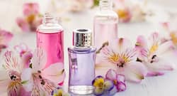 5 natural scents that have immense healing power