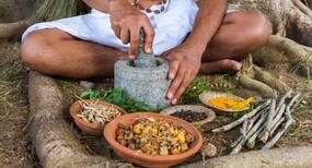 Living with Tuberculosis: Why Ayurveda Could Play an Increasingly Important Role