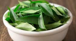 Curry leaves: This magic herb can promote your health in many ways