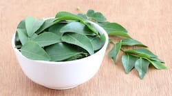 Want sharper memory? Eat more curry leaves!