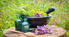 Essential oils: 6 rules you must follow when using them
