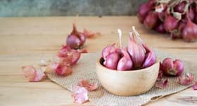 Health benefits of shallots Health benefits of shallots