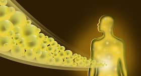 World Hepatitis Day 2017: 7 Ayurvedic diet remedies for jaundice