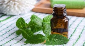 Peppermint can offer protection from migraine pain and digestive issues