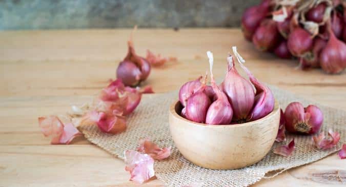 shallots - small onions