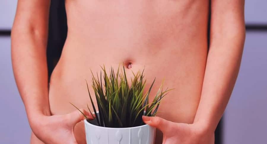 Why your pubic hair grows back so fast?