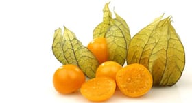 Health benefits of rasbhari or cape gooseberry