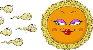 How fertile are you in your 20s, 30s and 40s? How fertile are you in your 20s, 30s and 40s?